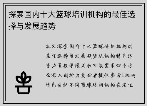 探索国内十大篮球培训机构的最佳选择与发展趋势